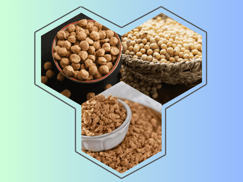 soya chunk